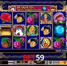 bet59 Rio de Janeiro - Bonus Terms
